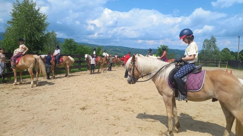 Haidook Summer Camps – tabere de vară cu cai și învățare experiențială