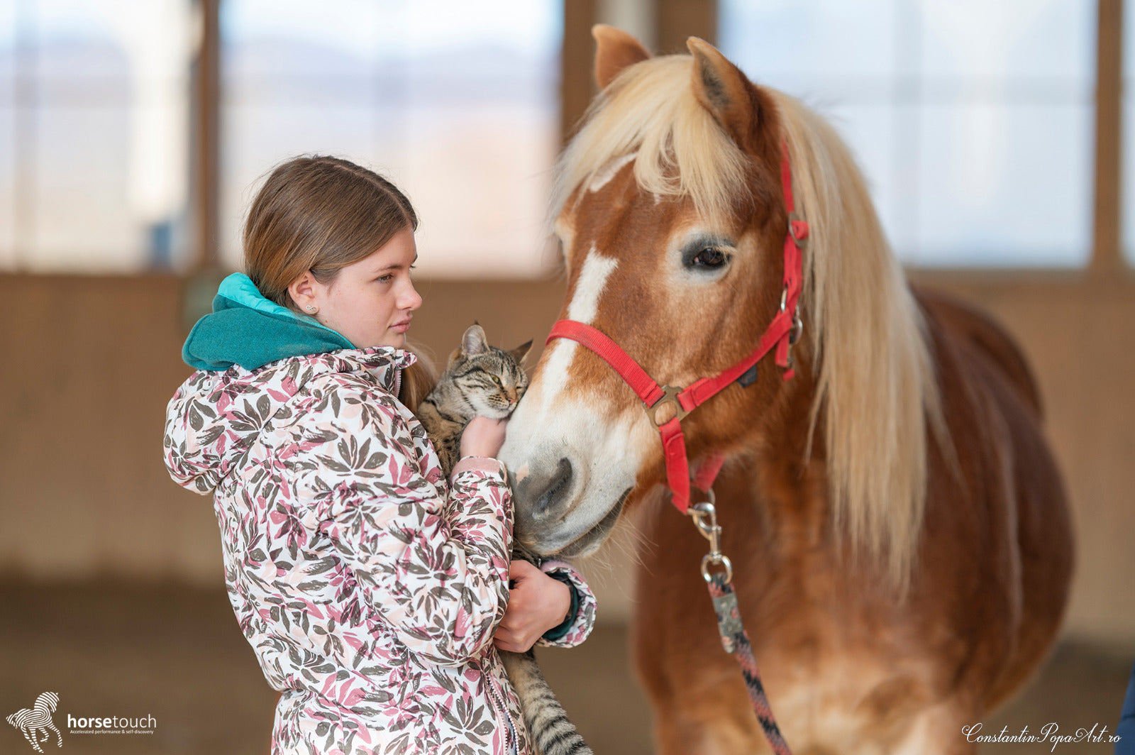 Experiență Părinte & Copil 🐴