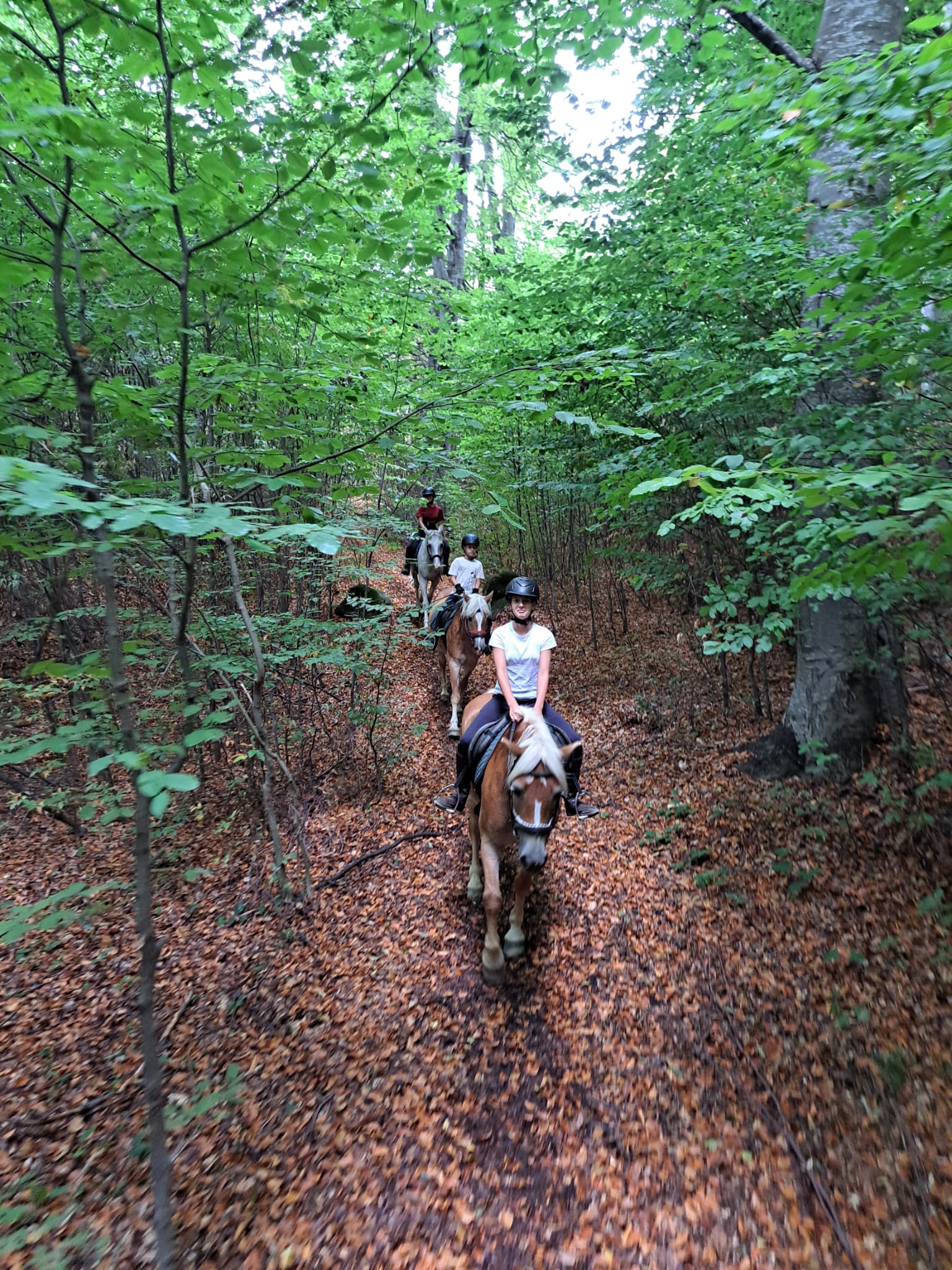 30 august - 4 septembrie