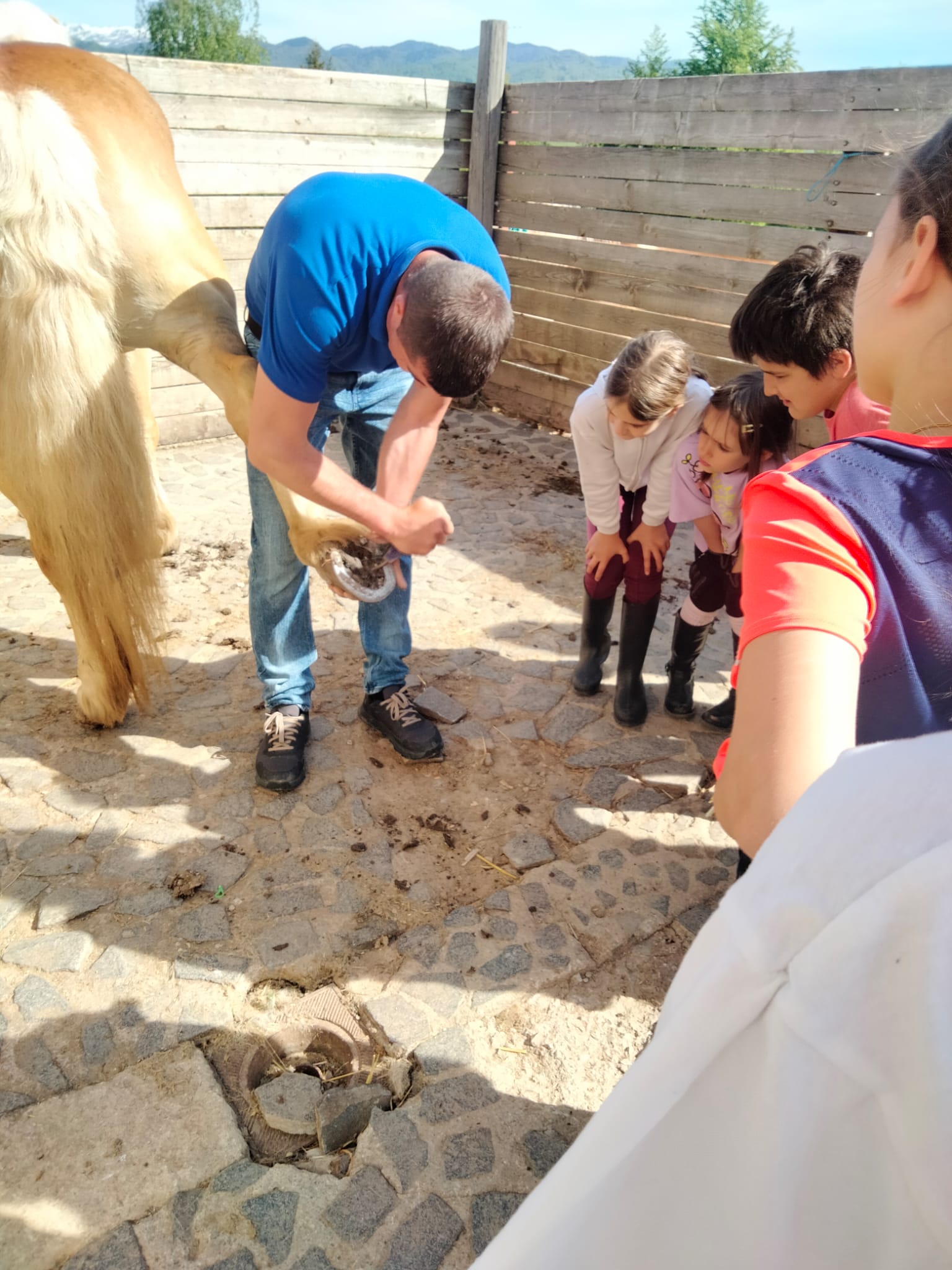 curatare copite prezentare de catre instructor in tabără Haidook Summer Camps