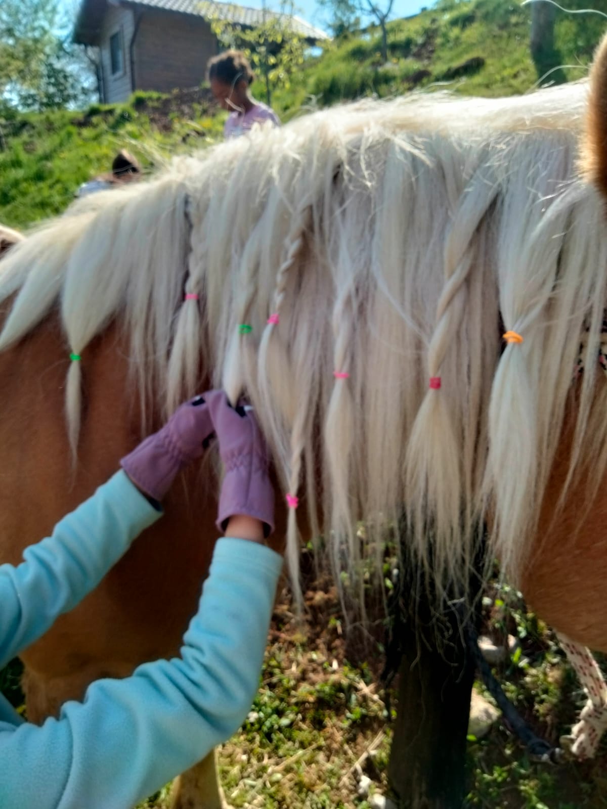 impletire coama cailor in taberele Haidook Summer Camps 