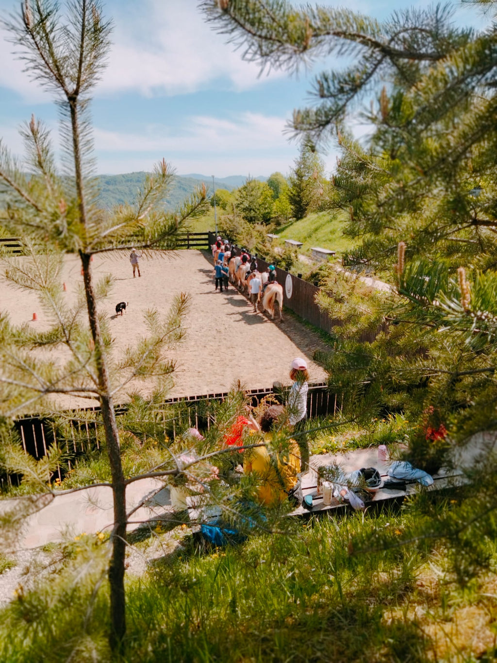 Copii in lectie echitație în tabăra Haidook Summer Camps