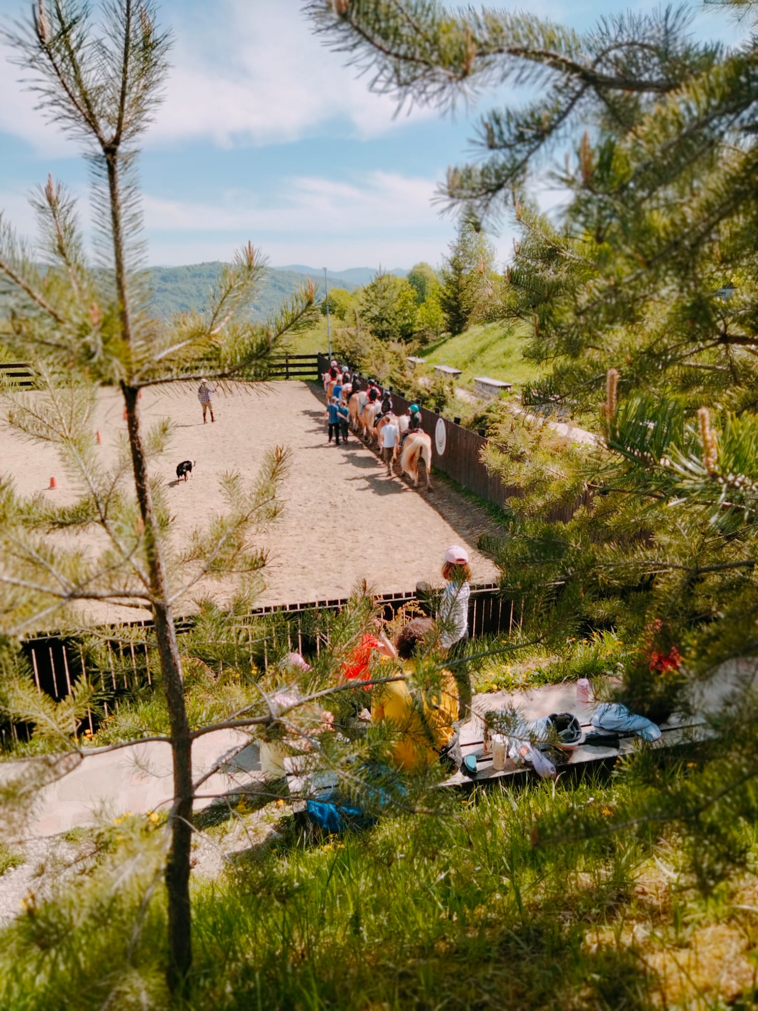 Copii in lectie echitație în tabăra Haidook Summer Camps