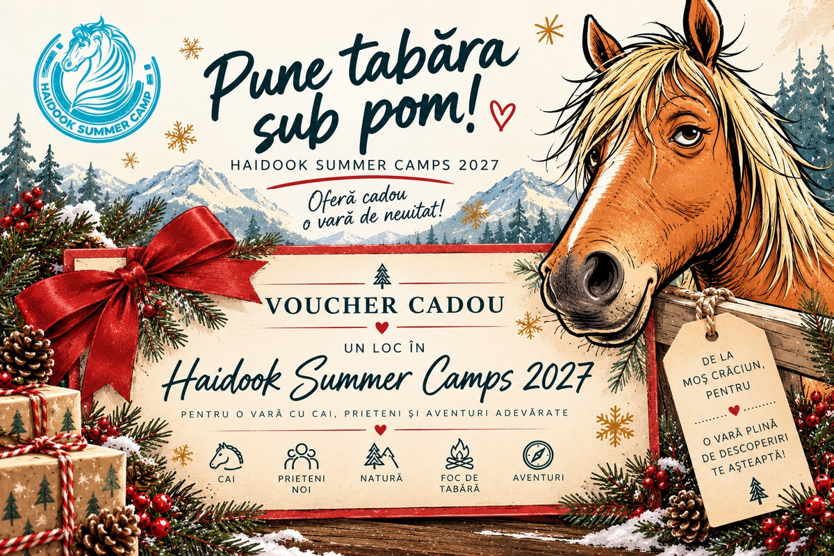 🎄 Pune tabăra sub pom!  Anul acesta, Moș Crăciun aduce aventuri, nu doar cadouri!